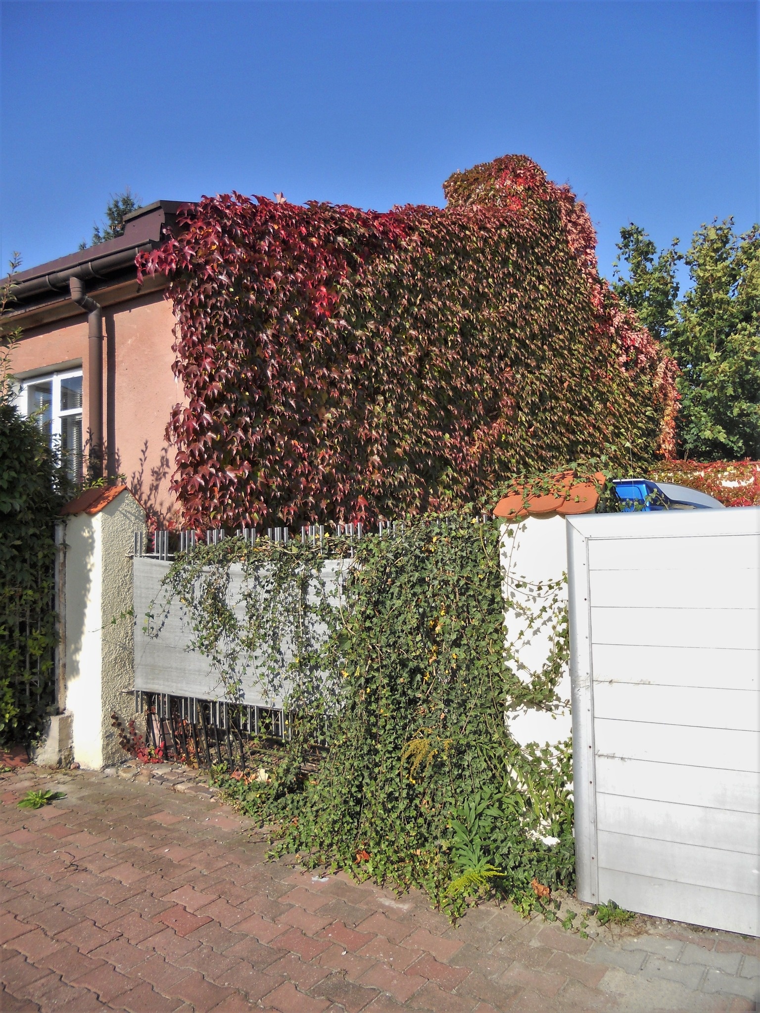 Ściana domu na Krańcowej