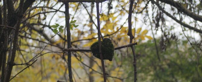 Landart nad Czechówką