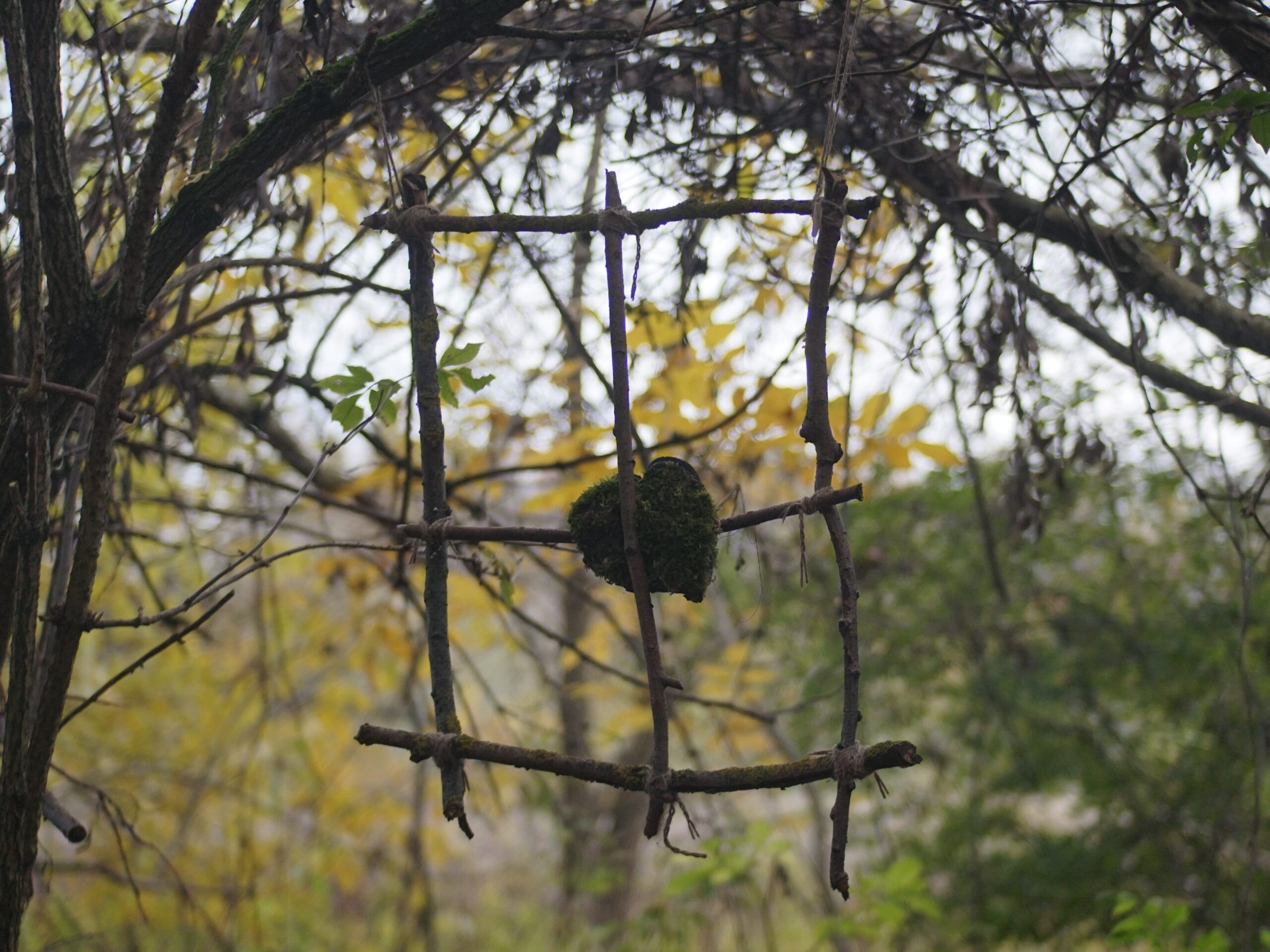Landart nad Czechówką