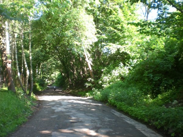 Dolina ulicy Lipniak