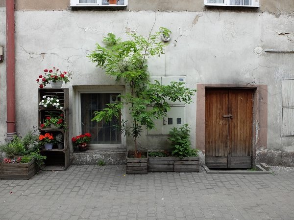 Zazielenione podwórko przy Lubartowskiej