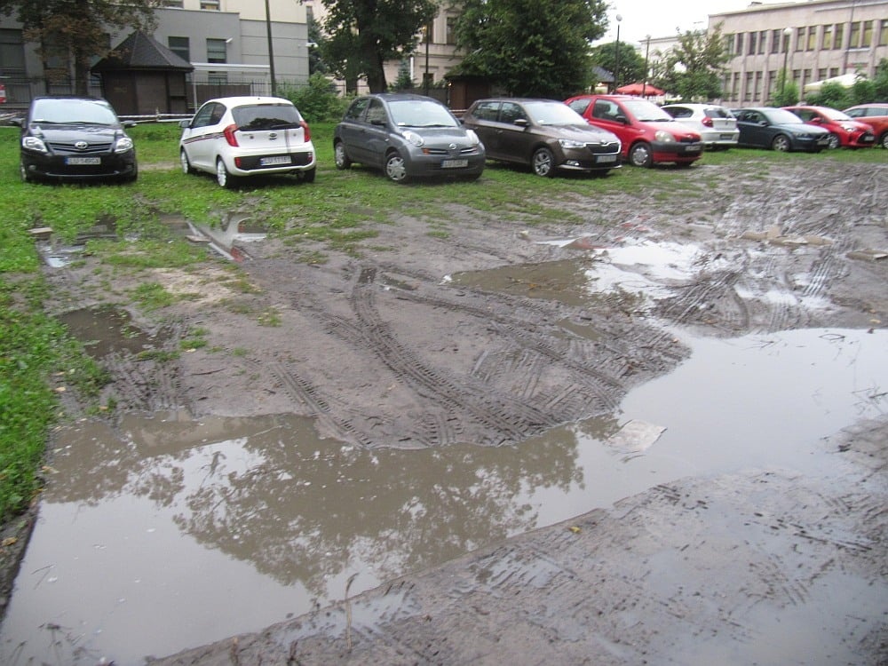 Nielegalne parkowanie na trawnikach i chodnikach w centrum miasta