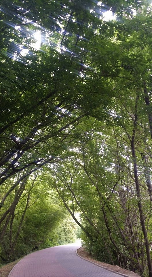 Zielony nadbystrzycki tunel przy LKJ