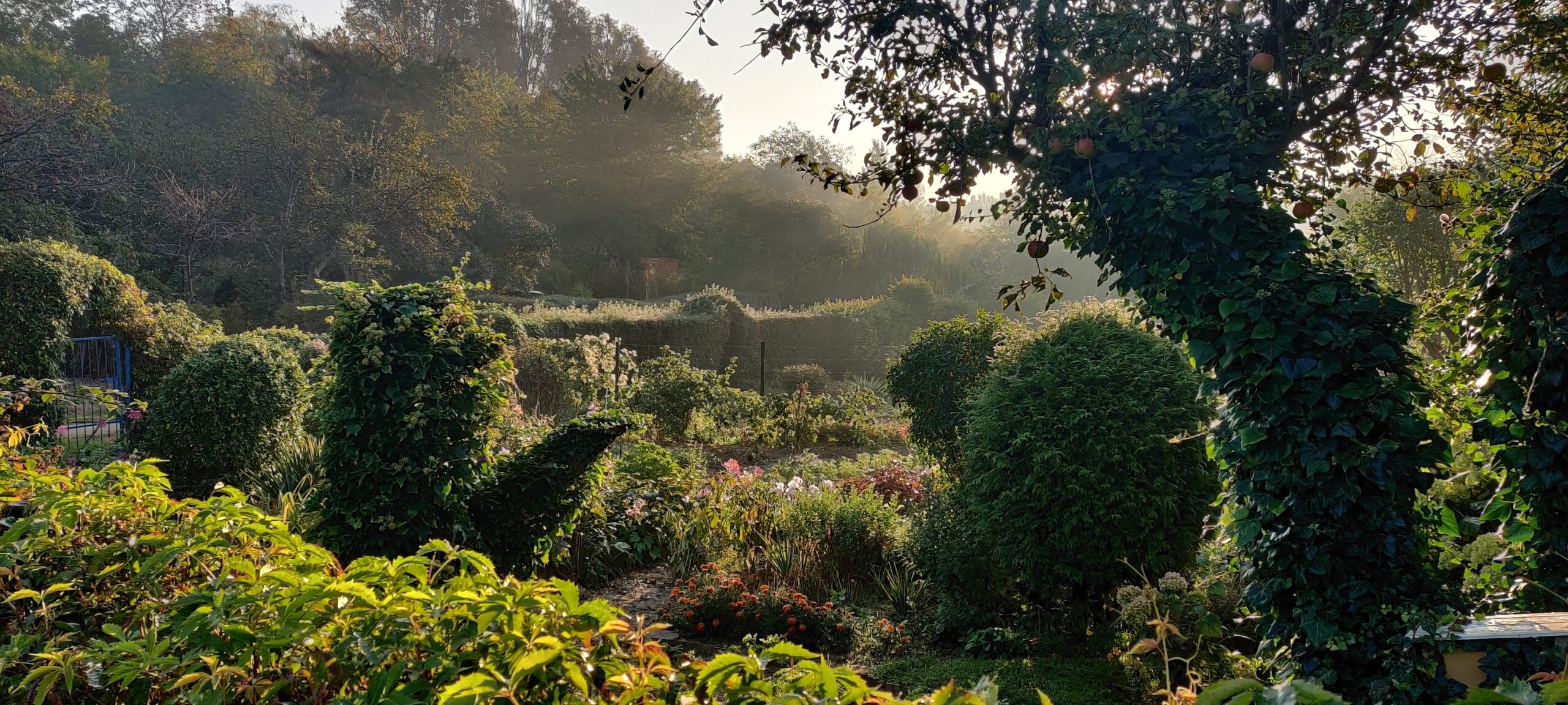 Ogród działkowy przez wielkie O!
