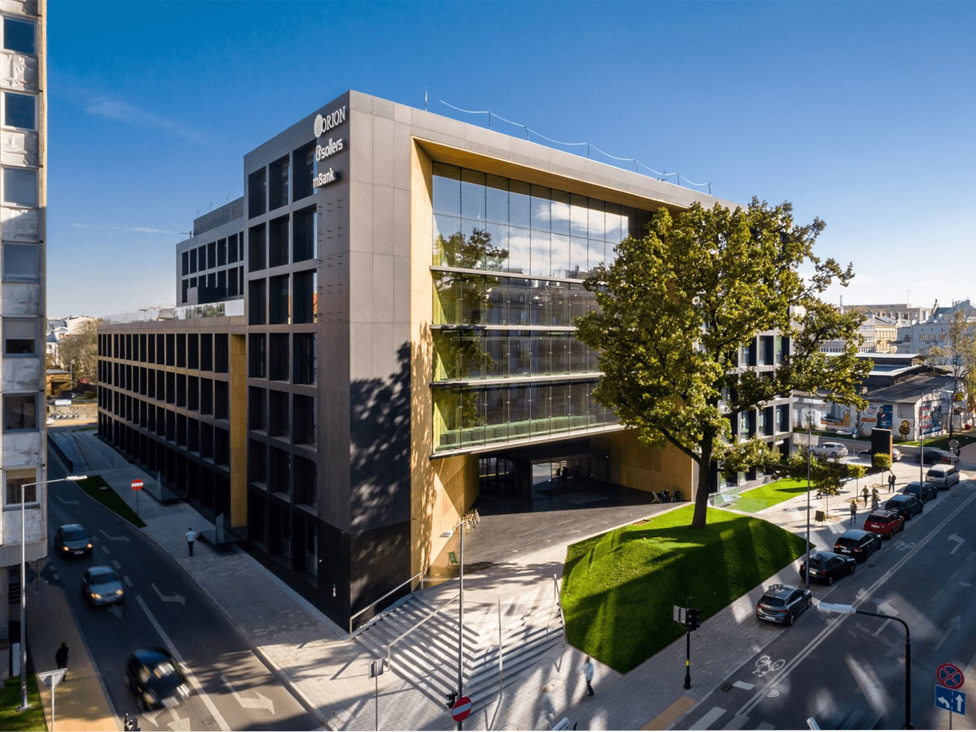 Dąb przed biurowcem Orion na Wieniawskiej