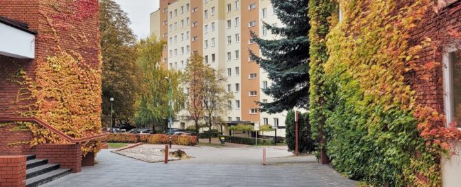 Bluszczowa brama na plebanii parafii św. Andrzeja Boboli