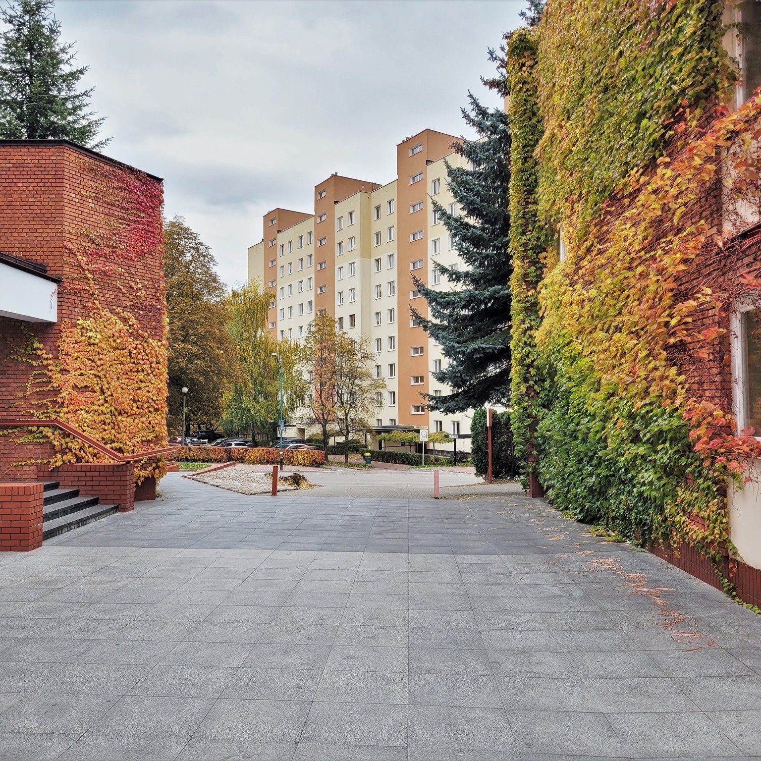 Bluszczowa brama na plebanii parafii św. Andrzeja Boboli