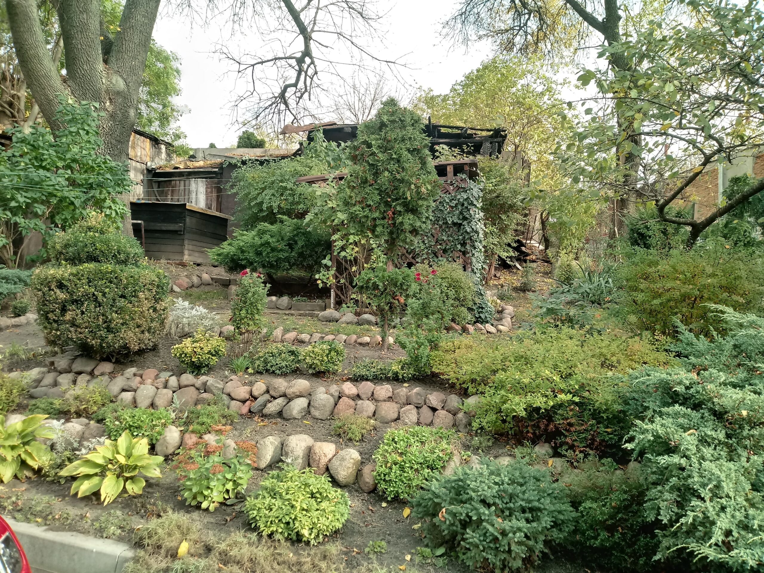 Podwórko na Wesołej