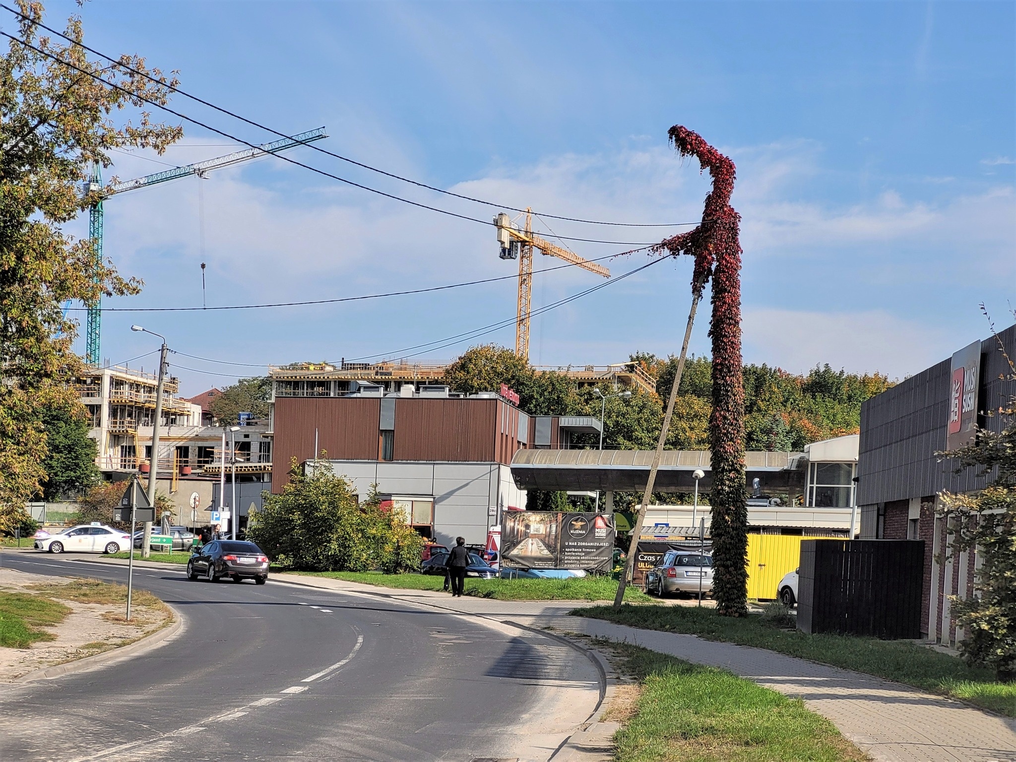 Zielona latarnia na Północnej
