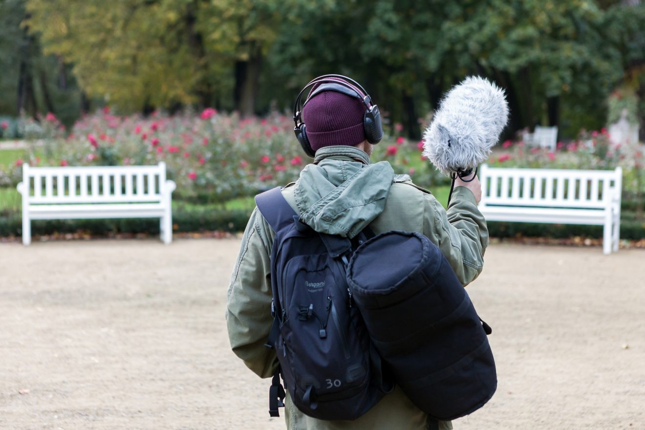 Ptasi raj w Ogrodzie Saskim