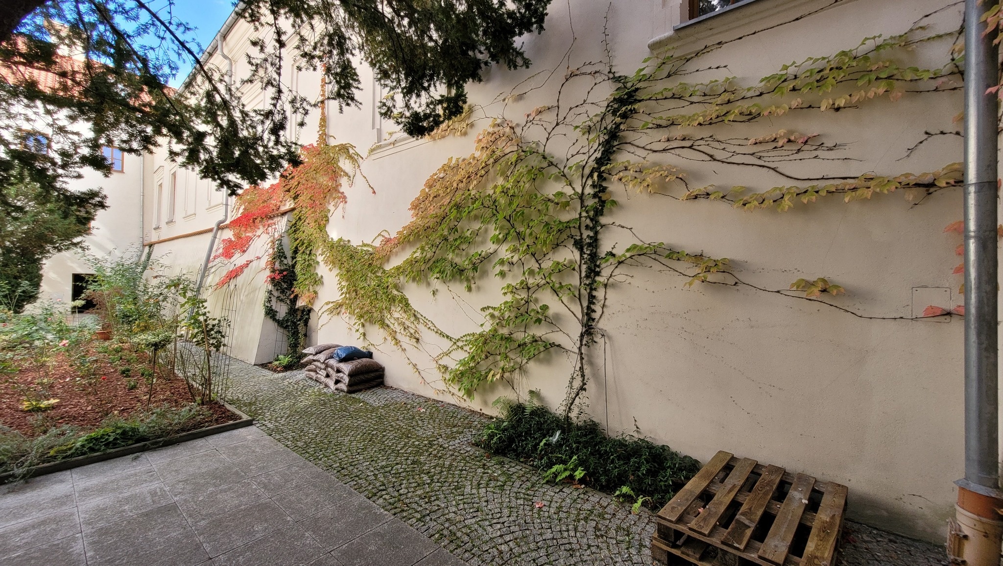 Patio klasztoru dominikanów