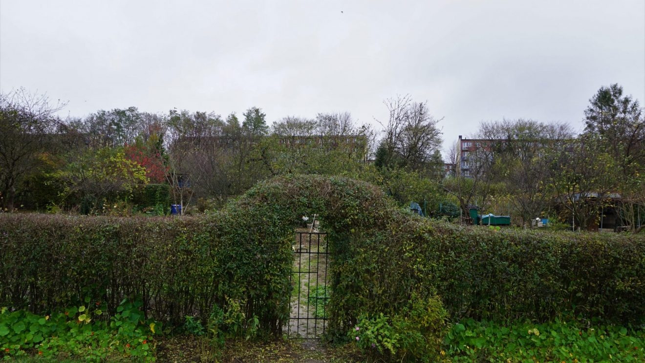 Ogródki działkowe na Rucie