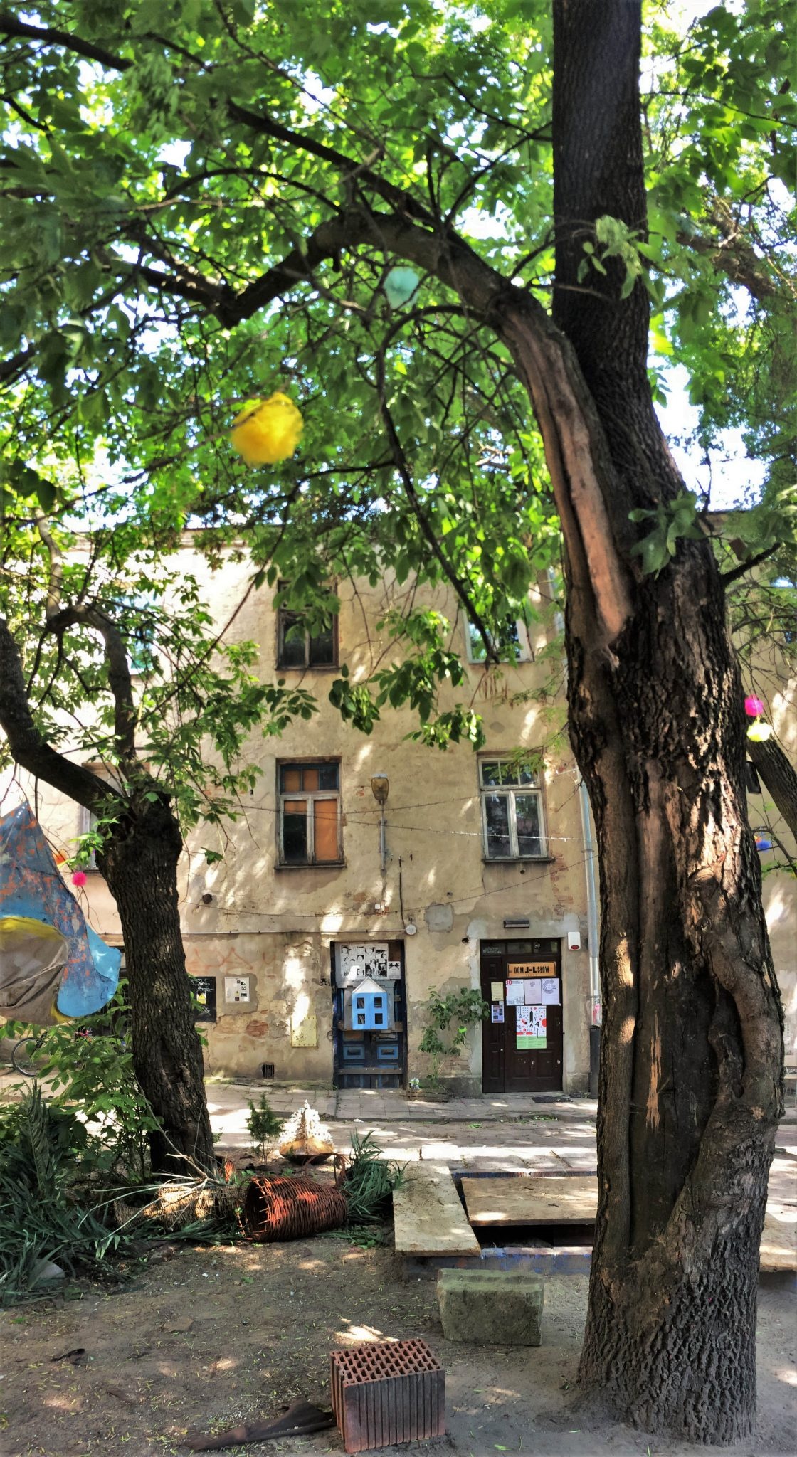 Słowa Drzew na podwórku przy Królewskiej