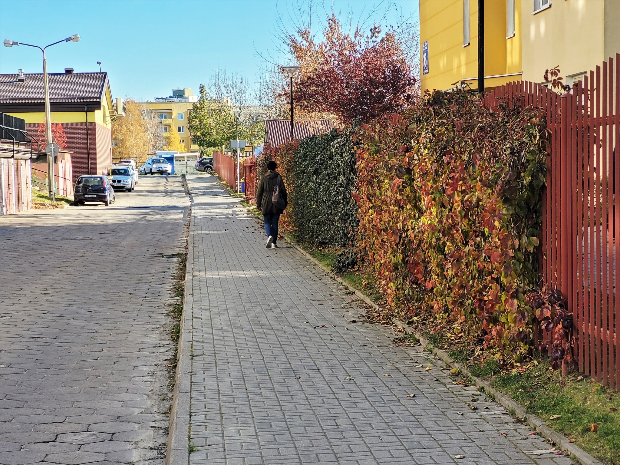 Winobluszcz na Topazowej