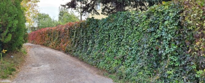 Łącznik Willowej i Sławinka