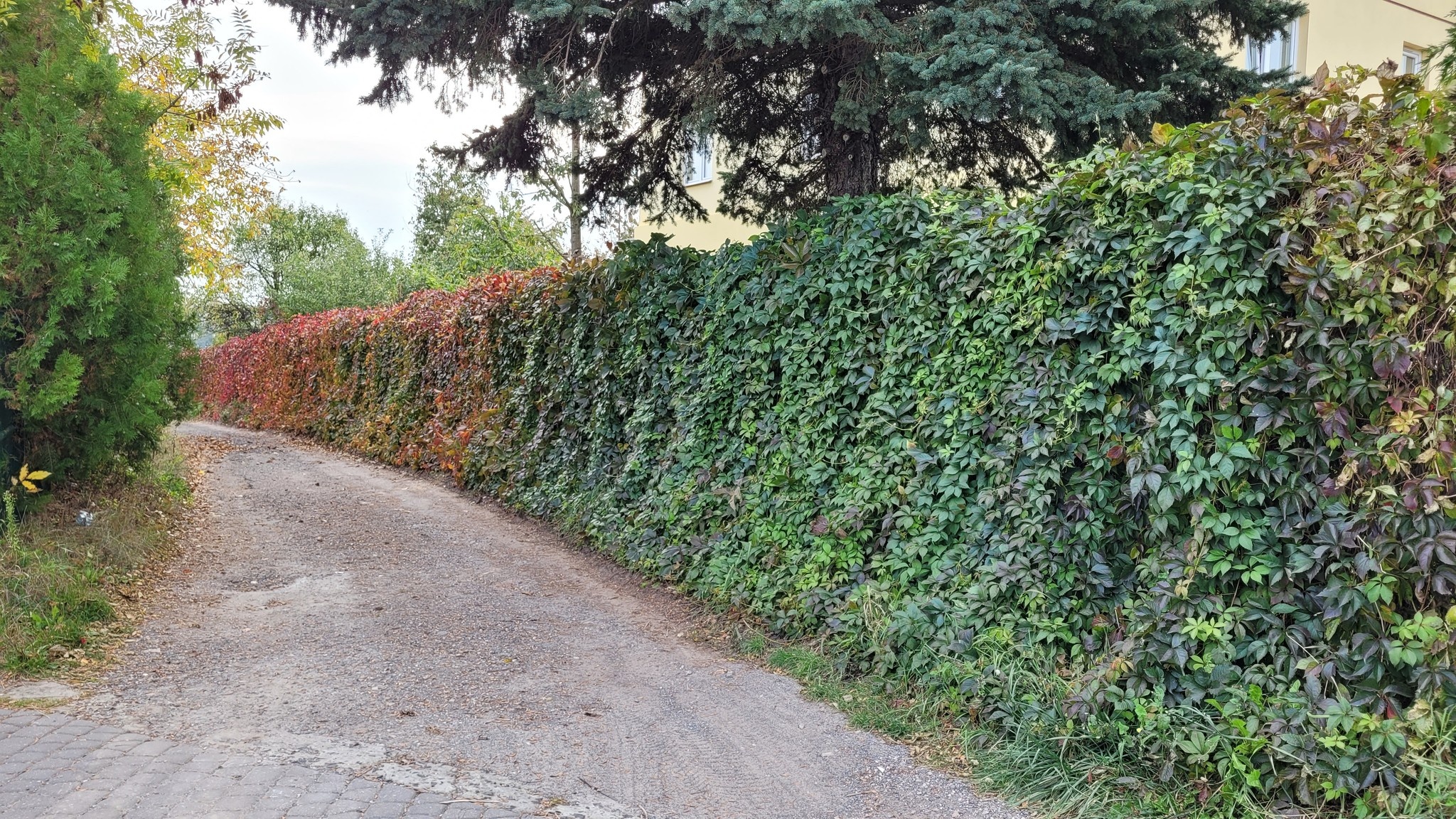 Łącznik Willowej i Sławinka