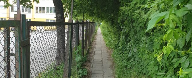 Zielony korytarz między Skromną i Wojciechowską