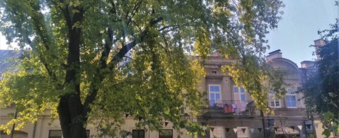 Jesion na Zielonej
