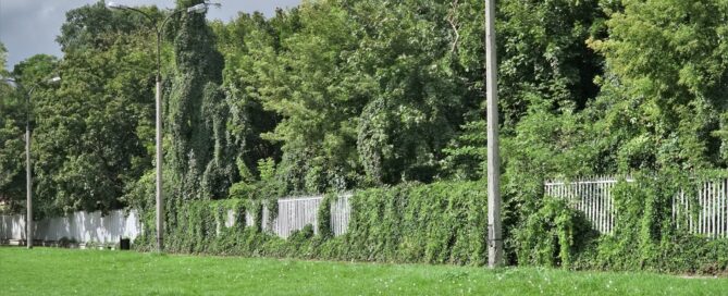 Ogrodzenie pod Zamkiem na Błoniach