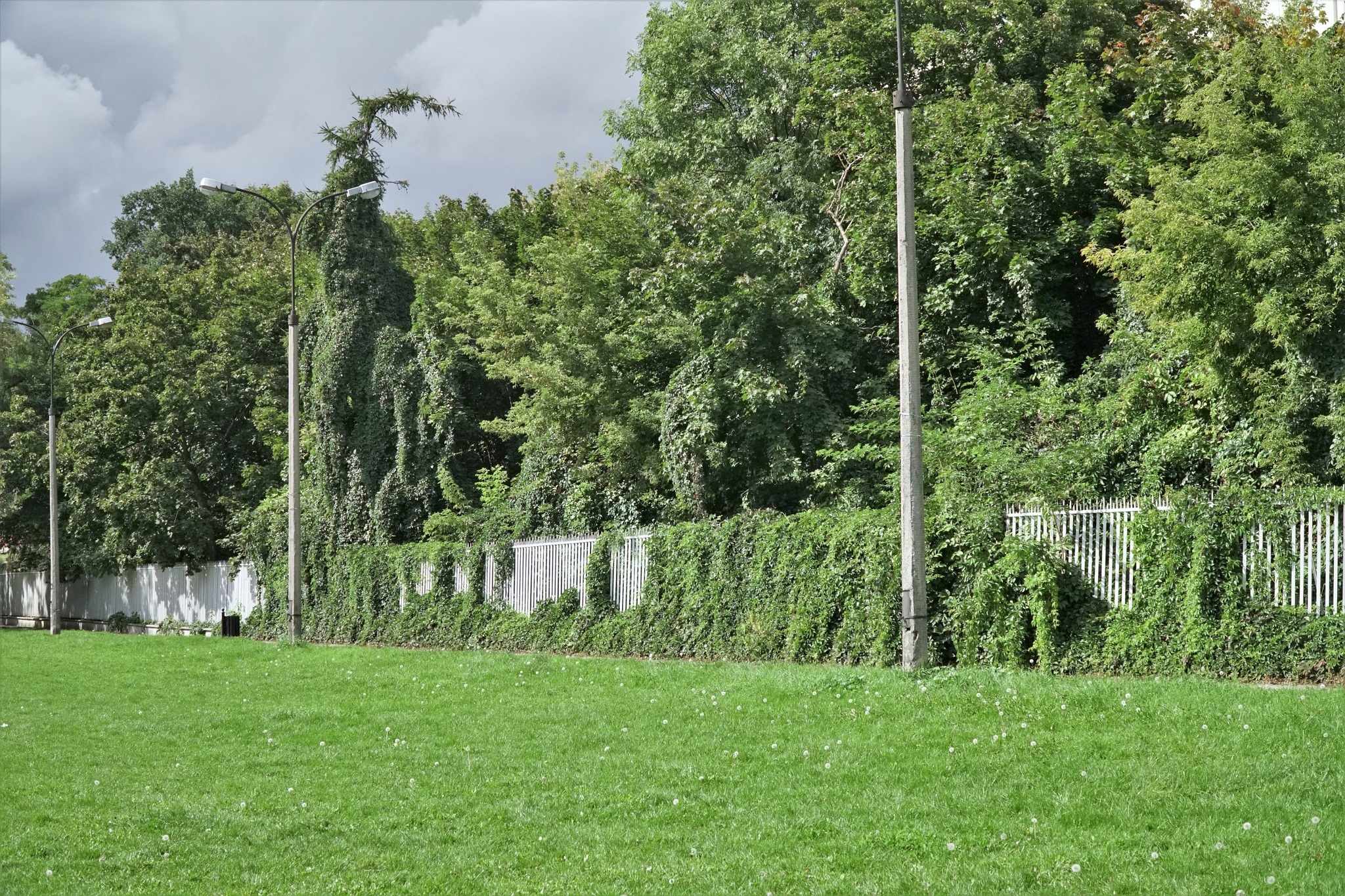 Ogrodzenie pod Zamkiem na Błoniach