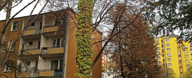 Zielona latarnia na Wallenroda