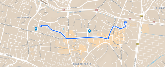 Spacer w centrum z osobą na wózku