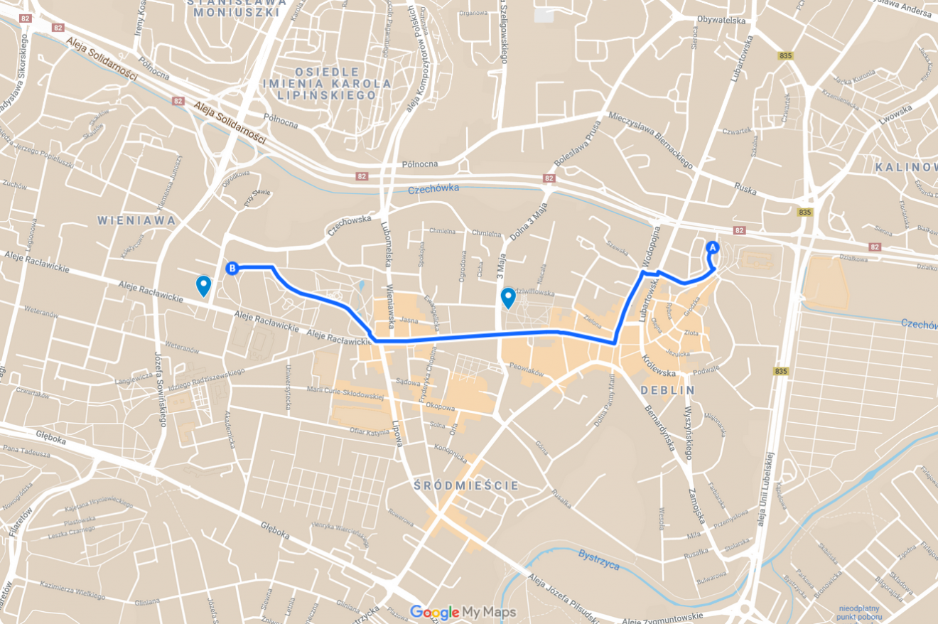 Spacer w centrum z osobą na wózku