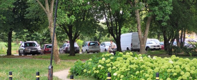 Teren zielony z kwiatami i drzewami obok drogi.