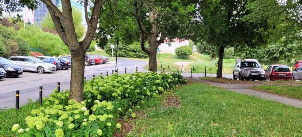 Trawnik z kwiatami i drzewami obok parkingu.