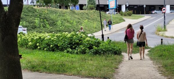 Teren zieleni obok ścieżki dla pieszych.