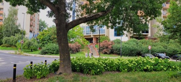 Teren zielony z kwiatami i drzewem.