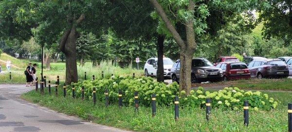 Teren zielony z kwiatami i drzewami obok ulicy.