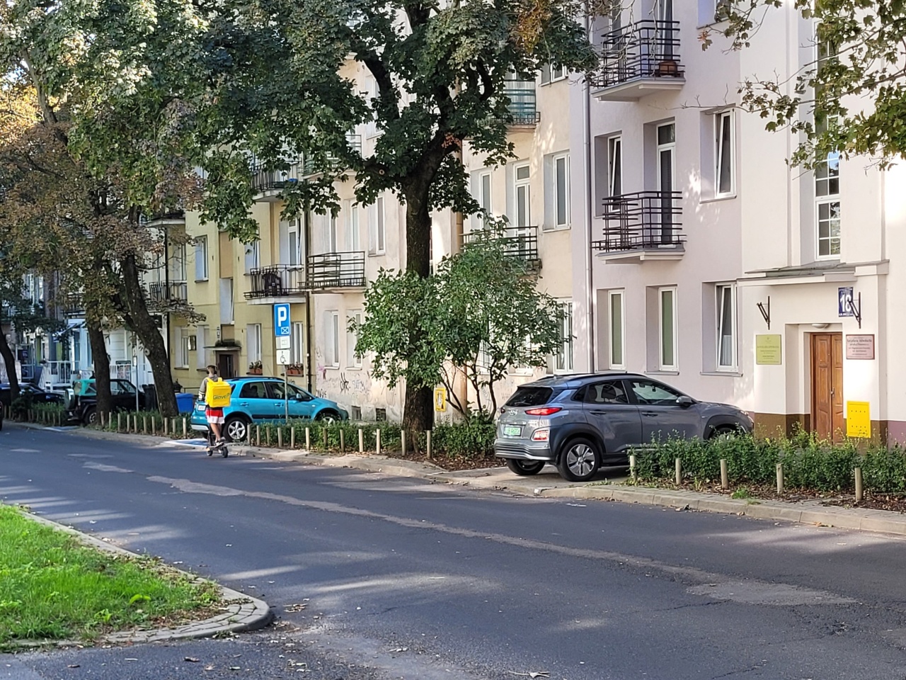 Drzewa obok jezdni na tle kamienicy.