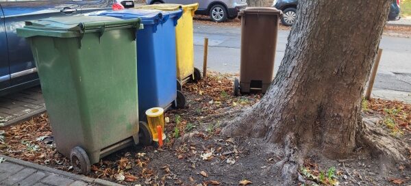 Kosze na śmiecie obok drzewa.