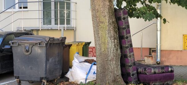 Kosze na śmiecie obok drzewa.