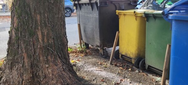 Kosze na śmiecie obok drzewa.