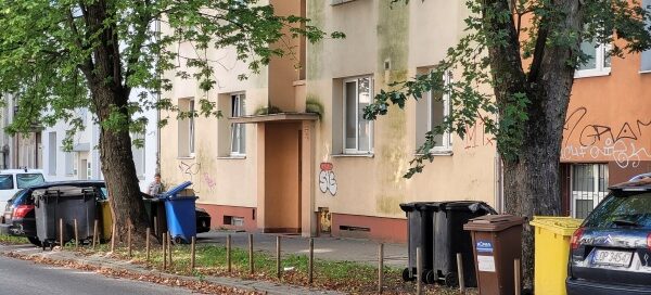 Jezdnia, trawnik i drzewa. W tle kamienica.