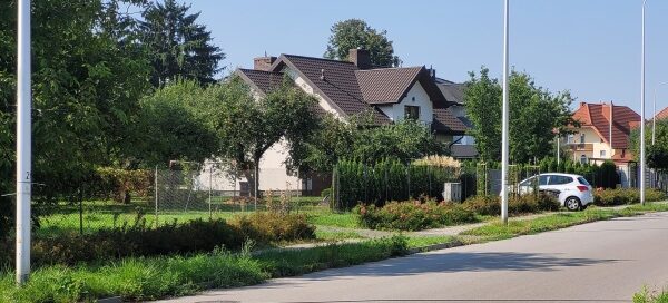 Trawniki obok ulicy. W tle widoczne domy jednorodzinne.