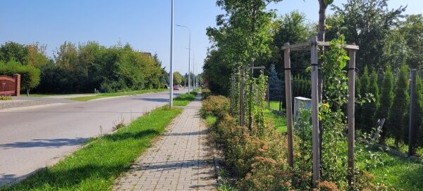 Trawniki z nasadzeniami obok chodnika.