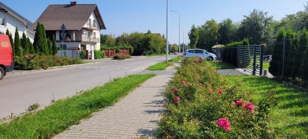 Trawniki z nasadzeniami obok chodnika.