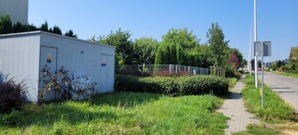 Trawnik obok chodnika.