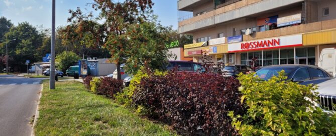 Pas zieleni przy budynku.