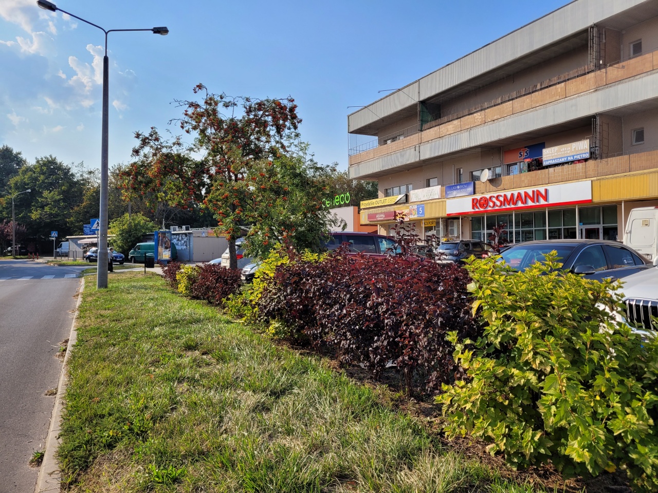 Pas zieleni przy budynku.