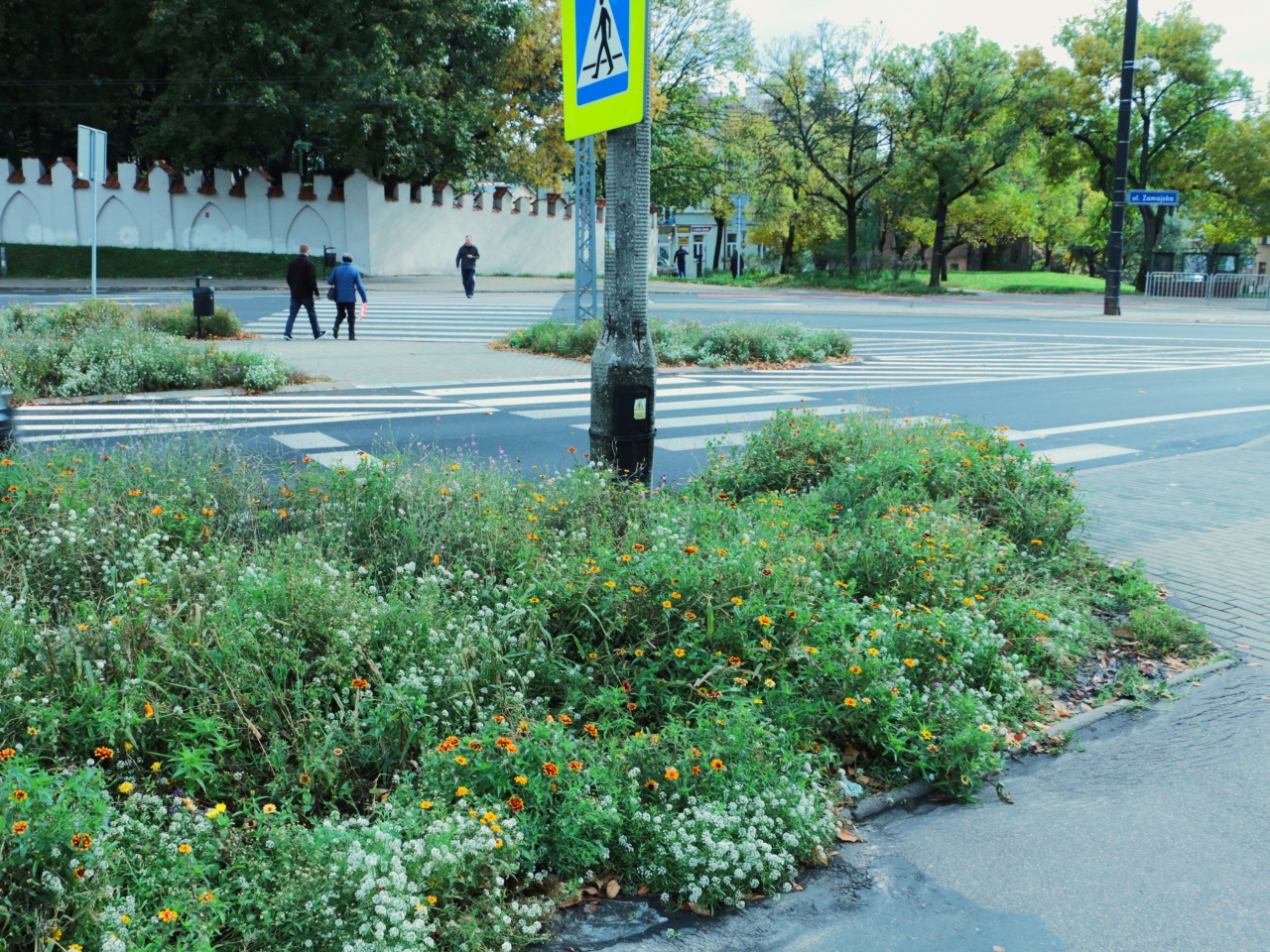 Łąka przy przejściu dla pieszych.