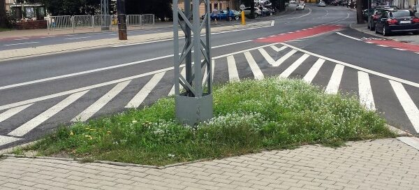 Łąka w miejscu krzyżowania się ulic.