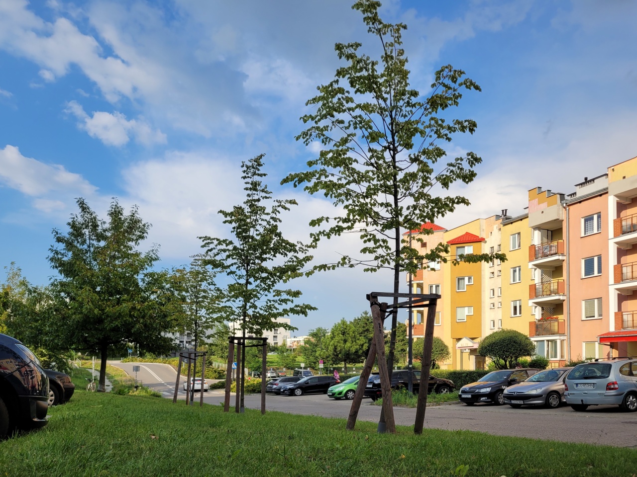 Teren zielony przy blokach.