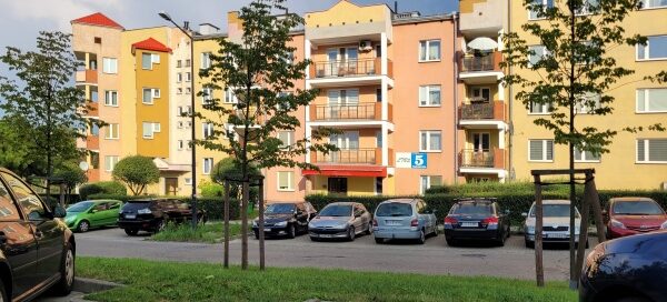 Pas zieleni na parkingu przed blokiem.