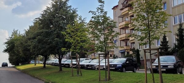 Teren zieleni przed blokiem.