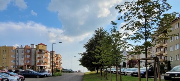 Teren zieleni przy drodze.