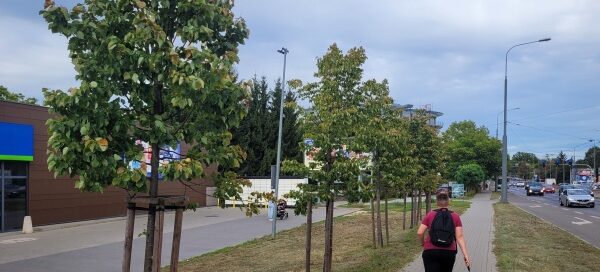 Droga, pas zieleni z drzewami i ścieżka dla pieszych.